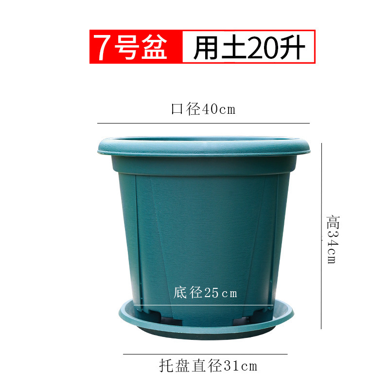 特大サイズの厚いガロン鉢青山プラスチック鉢に木を植えます。|undefined