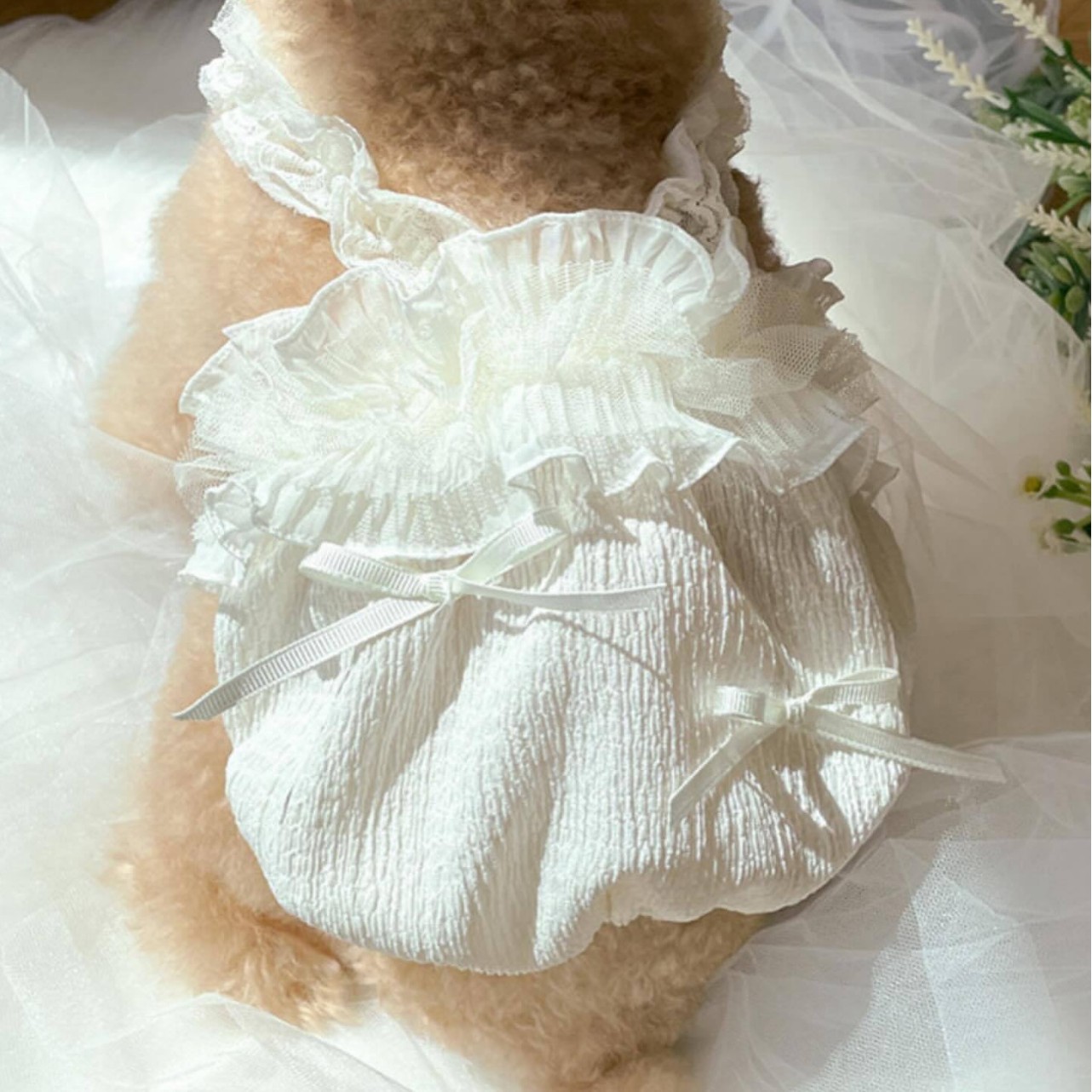 강아지 고양이 화이트 레이스 공주 치마 반려동물 애견 애묘 옷 INS풍 끈 스