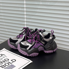 �W؛ĥɰ��Ƥϵ���ɸ����ϵ�ЬŮ2025�¿�С�����������e�\��Ь