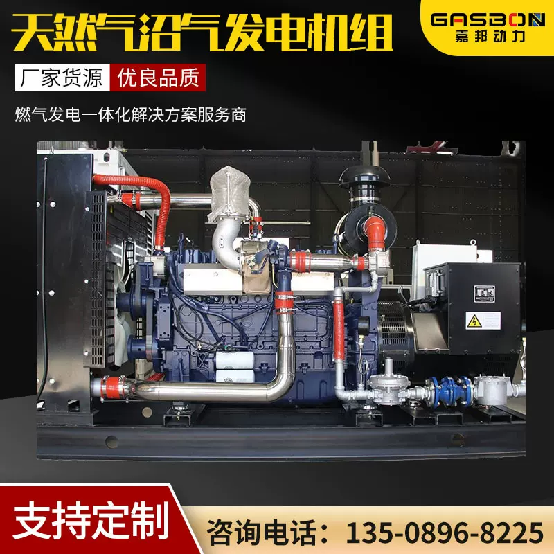 燃气发电机设备60KW120千瓦180kw垃圾厂废弃站雷沃天燃气发电机组