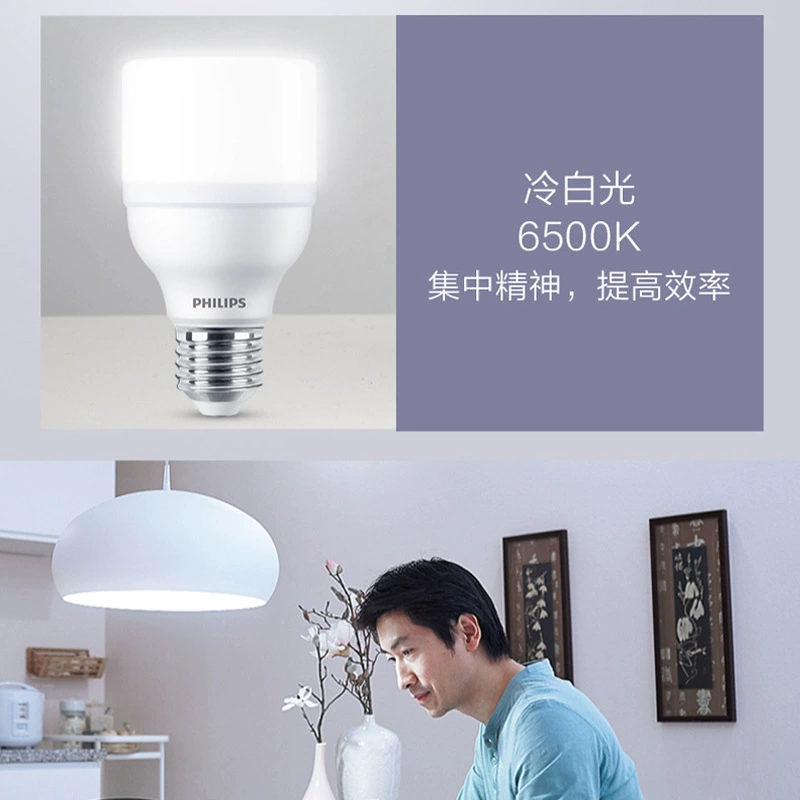Philips, LED lamp for pillar, bulb, energy-saving changeable ceiling light, with screw socket
