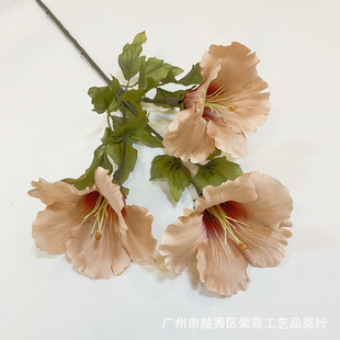 3�^��ɣ����c�쾰��Y�҃��b� �����ɣľ�޻����滨�ٻ����l