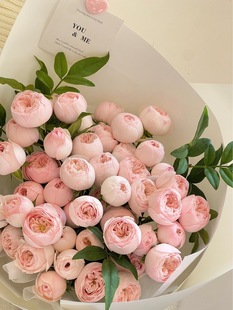 ����S��朡����x���^��Ƥõ�廨��ɫ�W˹͡����С��ϡ��õ�廨