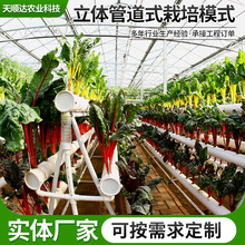 ˮ��ܵ��~���߲˷Nֲ�����w����ܟo������ˮֲ��ˮ��ܵ�ʽ����