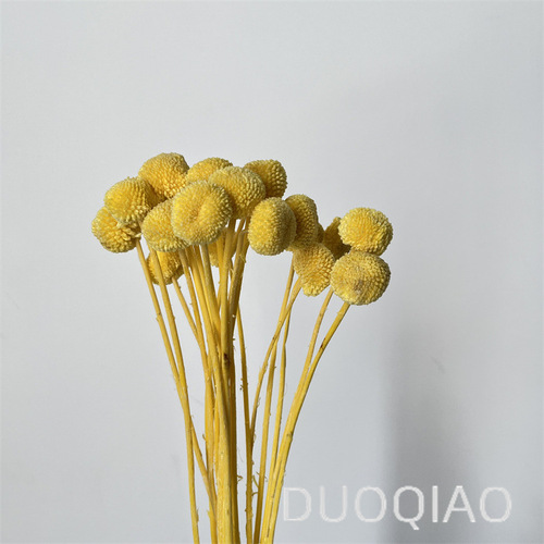 Gold Ball Everlasting Flower Bouquet Preserved Real Flowers DIY Flowering Material, Matching Flowers and Grass Home Decor Ornament DIY