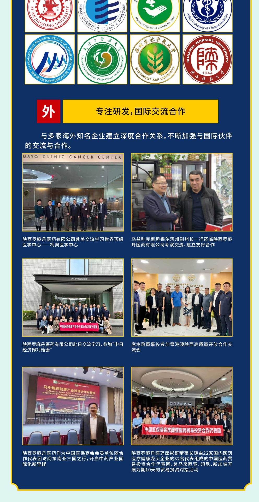 Boli Xiong Kidney Peptide Deer Whip Deer Blood Tablets 58g Bottle 60 Tablets Daily Herbal Tonic for Men quality and texture