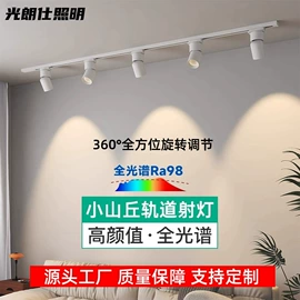 射灯;筒灯;LED轨道灯