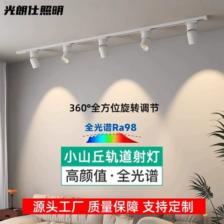 全光谱led轨道灯家用背景墙小山丘射灯明装中山cob灯具照明轨道灯