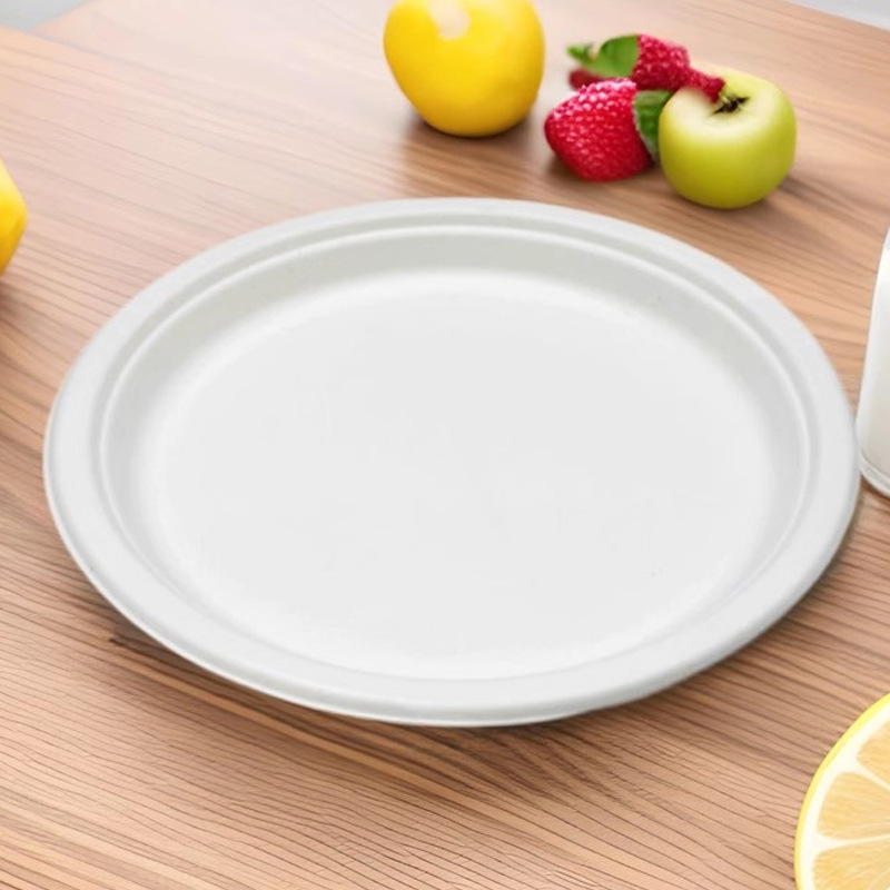 Disposable Paper Plate Paper Bowl Sugar Cane Pulp Biodegradable Outdoor Barbecue Birthday Cake Plate Thickeneded Party Disc Set