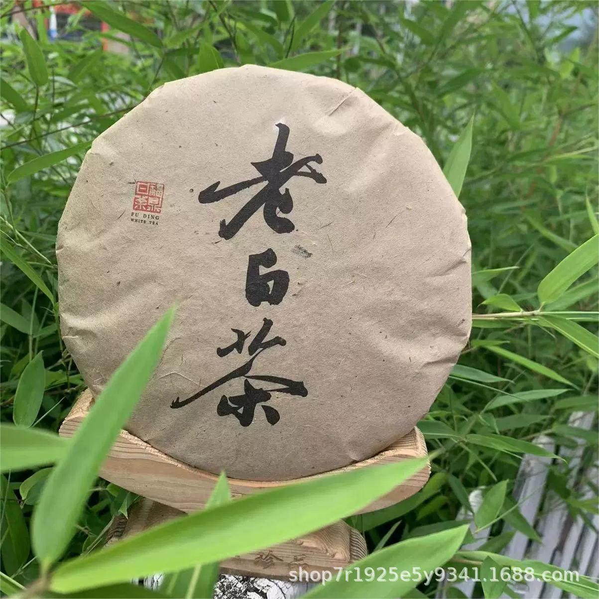 福鼎老白茶2015日晒贡眉白茶饼350克厂家直销白茶批发