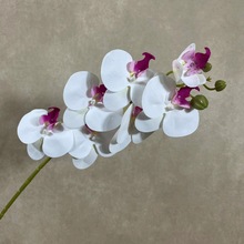 3D֧7^m滨 cļҾb廨bٻ