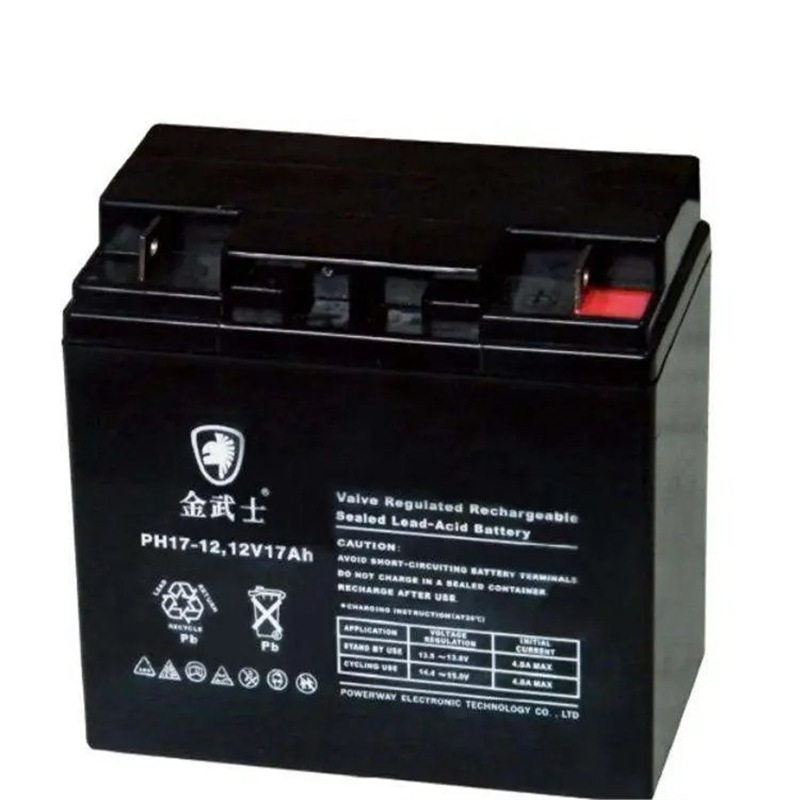 PH17-12金武士UPS不间断电源专用蓄电池12V17AH工矿企业