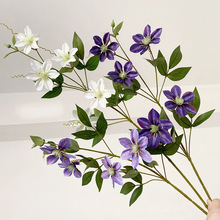 F؛Fɏ Wʽ@FɏҾb͏d滨[