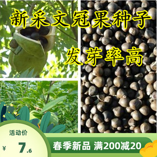 �²��Ĺڹ��N���Ĺڹ��Ѿ��xʳ��Ұ�������^��ʳ���͘�ե���Ĺڹ�