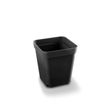 С����С�ڷ���ʶ��⻨�����糬С�����������l��@�L������