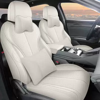 Leather Four Seasons Seat Cushion, Modelə uyğun (Original) oturacaq örtükləri - haoyue-rice-deluxe-edition-qin-ls-special-five-seater-full-package-for-the-front-row-half-package-for-the-rear-row