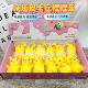 Pikachu pinch music vent funny cartoon cute pet decompression super cute decompression fast rebound soft rubber toy
