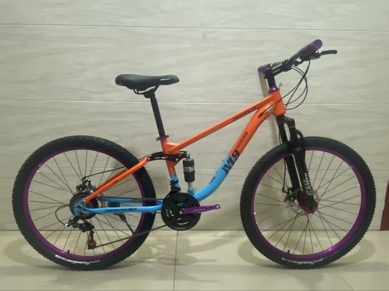 Phoenix Shengxiang Soft-Tail Mountain Bike 21-Speed Phoenix Shengxiang Soft-Tail Mountain Bike 21-Speed