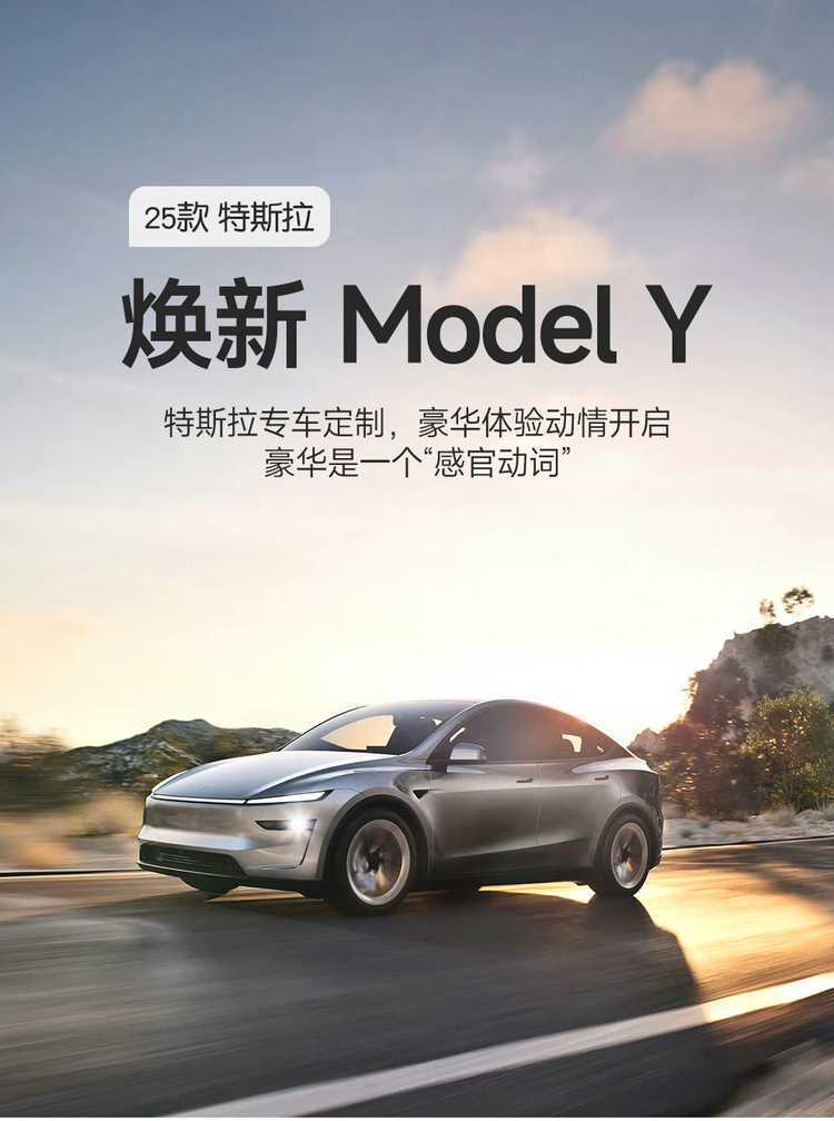 23-2526 Tesla Model Y/Huanxin 3 Special Car Seat Cushion Four-Season Seat Cover Half-Pack Non-Warping Seat Cover