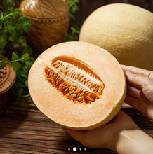 �½����۹��ܹ� ���r��ժ �����֭ 26���^�����������ܹ� ��S��