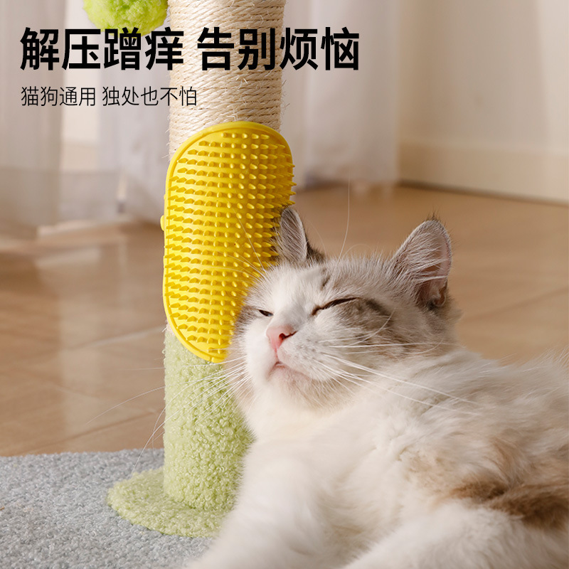 猫が壁の隅で毛をこする、猫が毛をこする、ペットマッサージ、浮き毛を除去するブラシ、退屈を和らげるための自作のツール|undefined