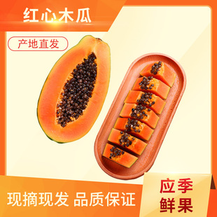 ���ϼt��ľ��