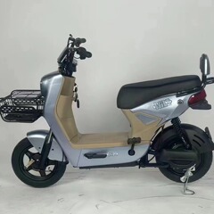 クロスボーダー対外貿易新型電気自動車48V成人二輪電動自転車成人レジャー電気自動車工場直