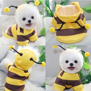 Pet Clothes Dog Cats Autumn and Winter Warm Clothes Schonery Teddy Small Dog Pet Clothes Bee Transformation Clothes