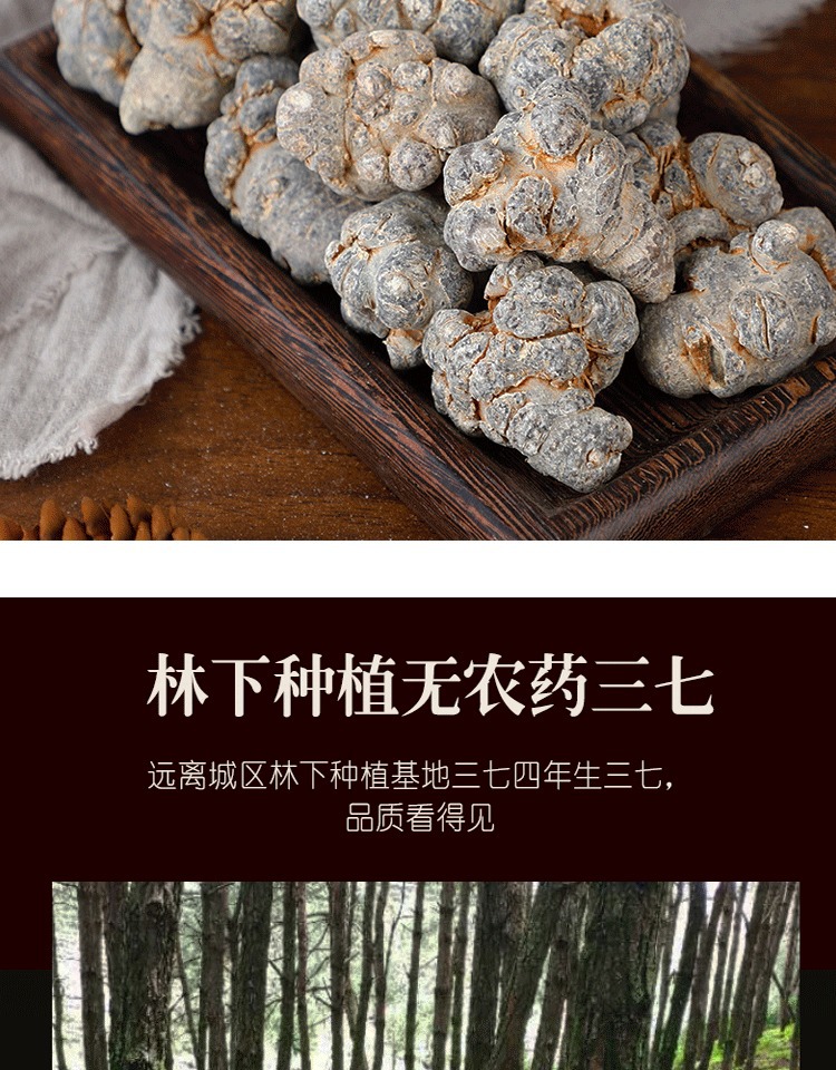 San Qi Notoginseng Root Tian Qi 20 Head Grade Dried Wenshan Panax Notoginseng 250g quality and texture