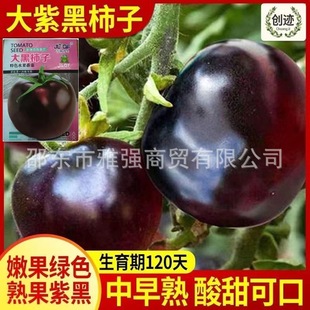 �ڷ��ѷN���Ϻ����t���N�Ӵ�����ӷN�џo�����L����ͺڷ��ѷN��