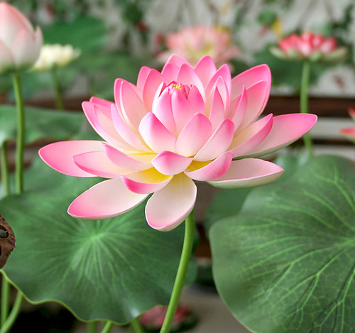 Eva with rod simulation lotus flower, lotus leaf, lotus dance props, swimming pool stage scenic decoration, fake simulation flowers, green plants