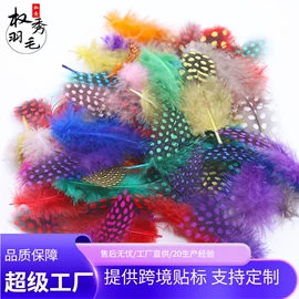 羽毛、羽绒;发夹;发带