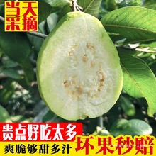 ���r�Fժ��ɳ��ʯ������İŘ�ˮ������������ժ5���鷬ʯ��