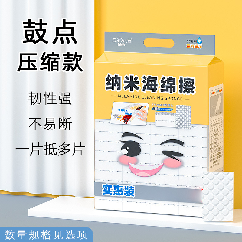 플래그십 압축 모델