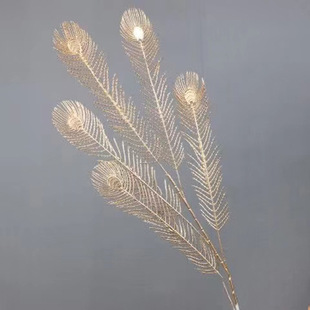 �����ɫ��ȸ�� ��֦5���Pβ�~��Ͱ����b���ˇ�廨�Ҿ����[