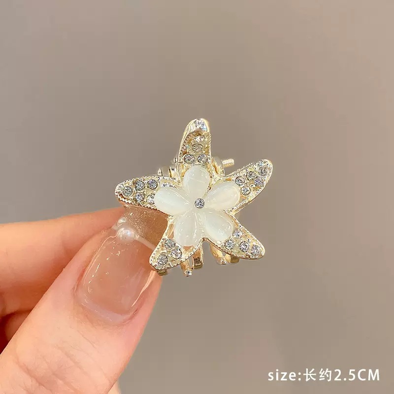 Ojo de gato flor estrella de mar dorado