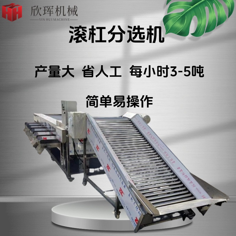 Multifunctional apple and peach fruit sorting machine Commercial…