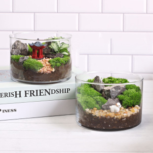 12c Moss straight bottle micro landscape ecological bottle Moss creative plant DIY office desktop decompression small pot