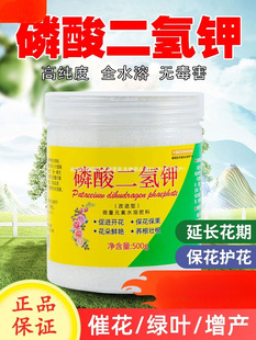 Potassium Dihydrogen Phosphate Genuine Agricultural Water-Soluble Fertilizer for Florals Special Foliar Fertilizer Ferrous Sulfate Flower Fertilizer Universal Yuechong