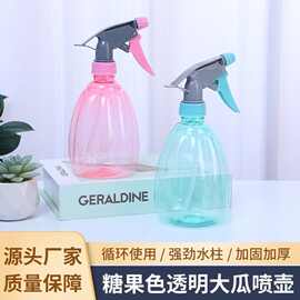 喷壶浇花浇水喷雾器气压式喷水壶消毒专用家用园艺养花压力洒水壶