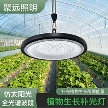 ȫ���VUFO�����̨�҃ȷ�̫ꖹ�ֲ�����L���m���¼������a���