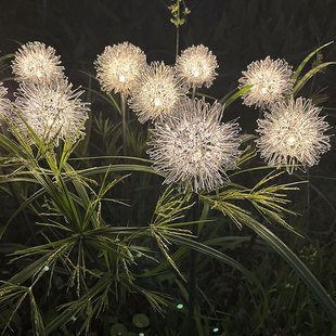 Factory wholesale New LED aluminum wire dandelion lamp outdoor decorative Reed lamp simulation aluminum wire ball Pu ball lamp