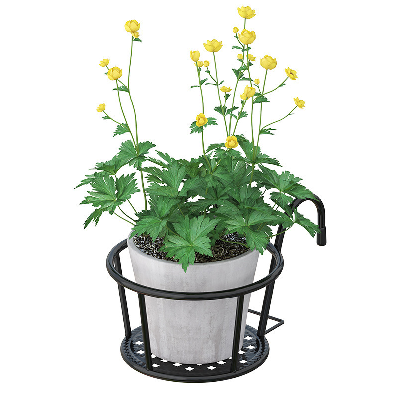 バルコニーの手すり吊り下げハンギングポットポトス鉢植え壁掛け鉄製フラワースタンドフラワー収納ラック植木鉢スタンド植物スタンド|undefined