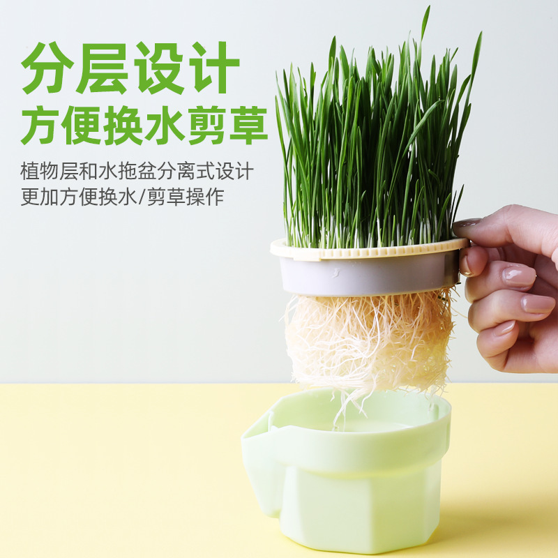 Soilless Lazy Cat Grass Hydroponic Potted Wheat Seeds De-Hairing Hairy Grass Cat Grass Cup into Kitten Cat Snacks