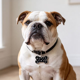 �羳Dog tag���N���^�͌������\�Ͻ�ɿ��������Ʒ��G���ﹷ��