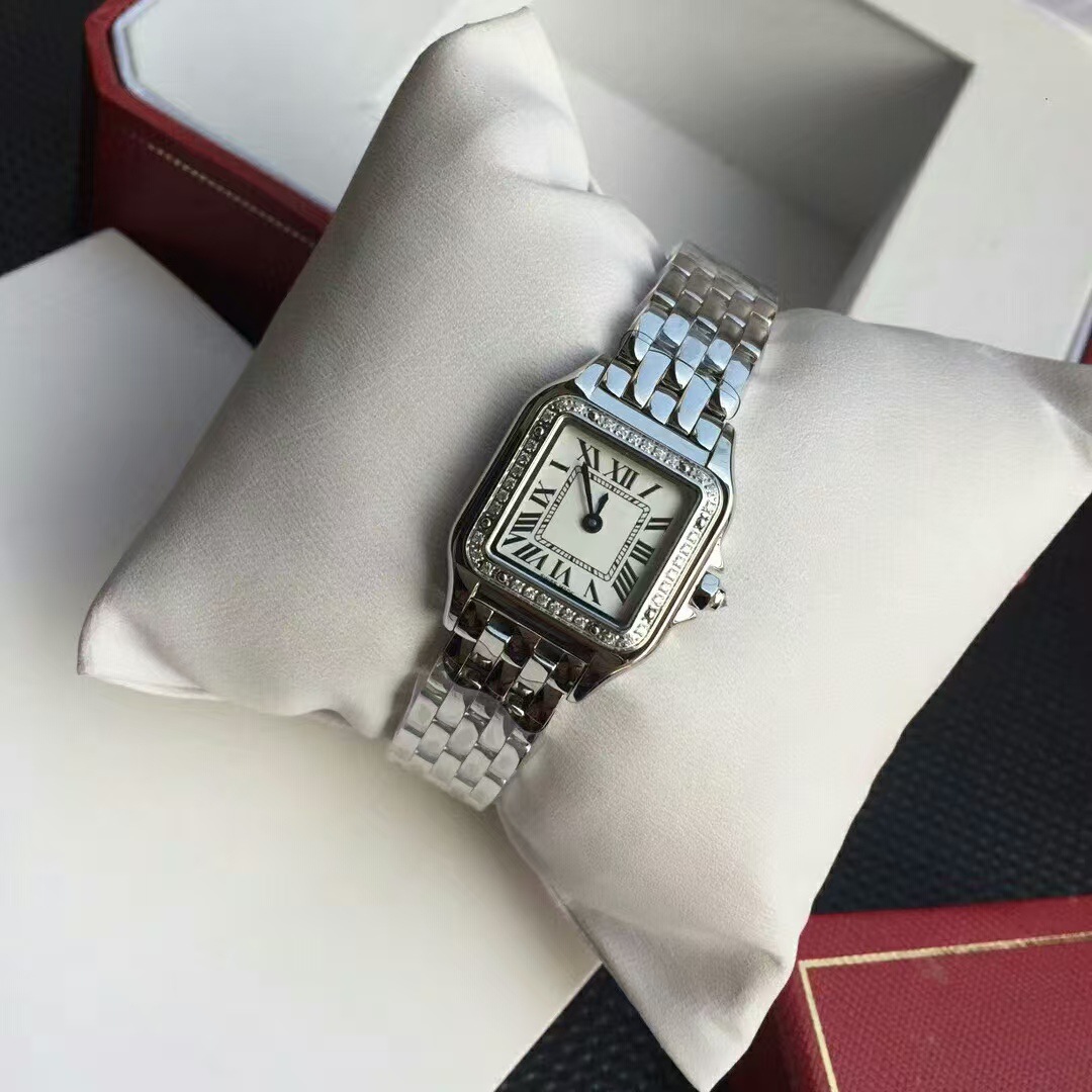 Cross-Border Cheetah Classic Series Stainless Steel Small Square Watch Fashionable and Simple Roman Face Quartz Women's Watch Factory Wholesale Foreign Trade