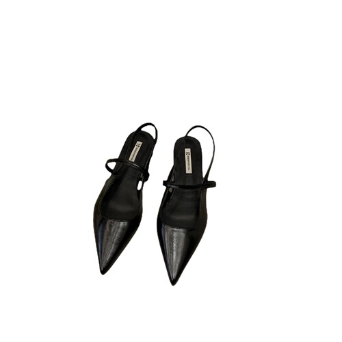 French flat black toe sandals fairy shoes new spring and summer pointed toe silver Mary Jane single shoes