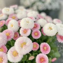 СrջNױļ_҃׷NԷNʾ