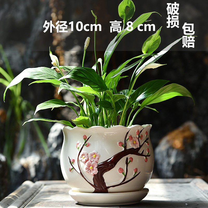 세라믹-단일 작은 복숭아꽃 소스 세트