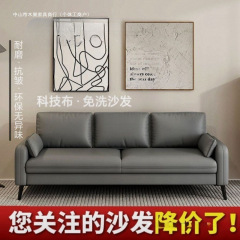 小户型公寓卧室沙发出租房双人小沙发懒人客厅服装店休息区棋牌室